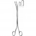 DESJARDINS Gall Stone Forceps