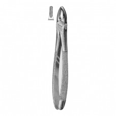 Extracting Forceps Fig.1