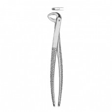 Extracting Forceps Fig-123