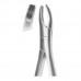 Extracting Forceps Roba Fig-18L